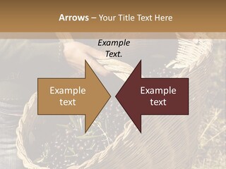 Tradition Mediterranean Harvest PowerPoint Template