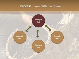 Tradition Mediterranean Harvest PowerPoint Template