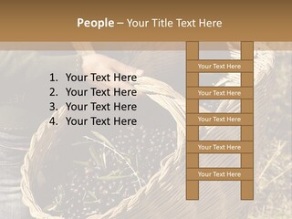 Tradition Mediterranean Harvest PowerPoint Template