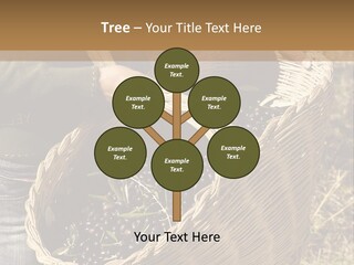 Tradition Mediterranean Harvest PowerPoint Template