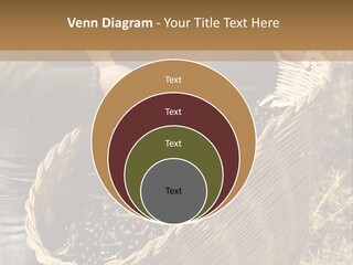 Tradition Mediterranean Harvest PowerPoint Template