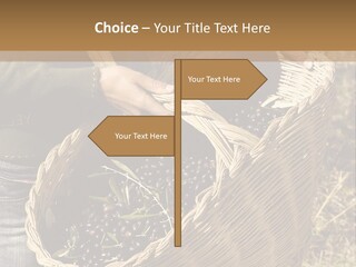 Tradition Mediterranean Harvest PowerPoint Template