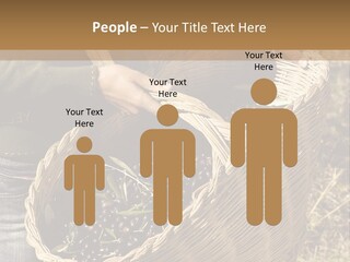 Tradition Mediterranean Harvest PowerPoint Template