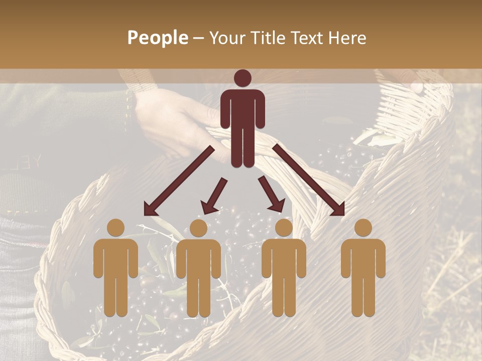 Tradition Mediterranean Harvest PowerPoint Template