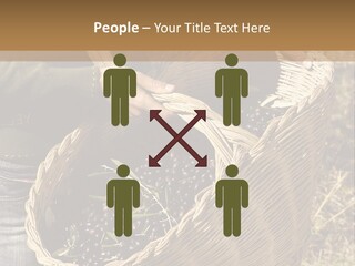 Tradition Mediterranean Harvest PowerPoint Template