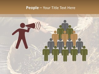 Tradition Mediterranean Harvest PowerPoint Template