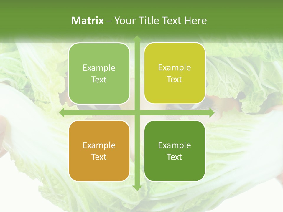 Female Lifestyle Diet PowerPoint Template