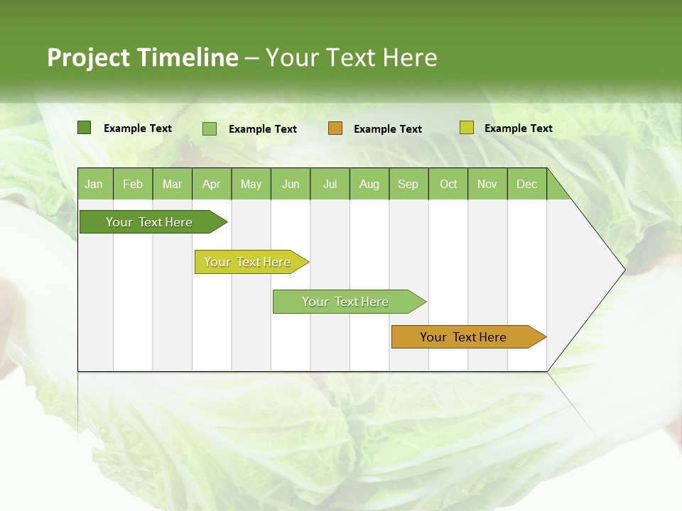 Female Lifestyle Diet PowerPoint Template