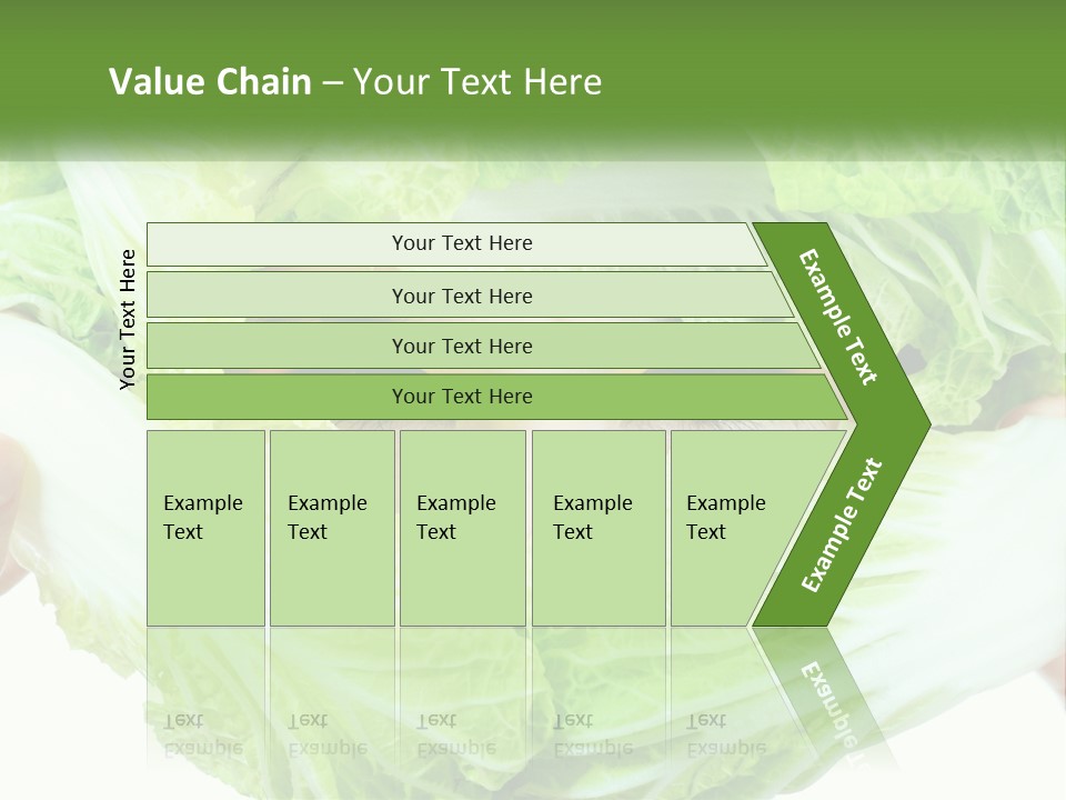Female Lifestyle Diet PowerPoint Template