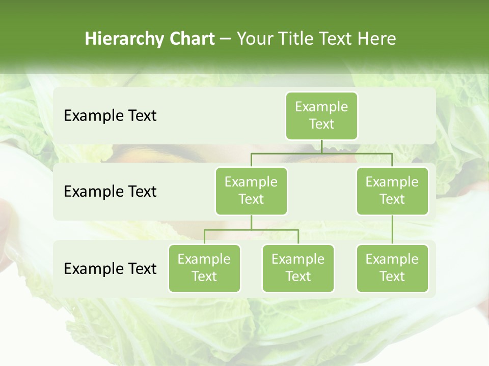 Female Lifestyle Diet PowerPoint Template