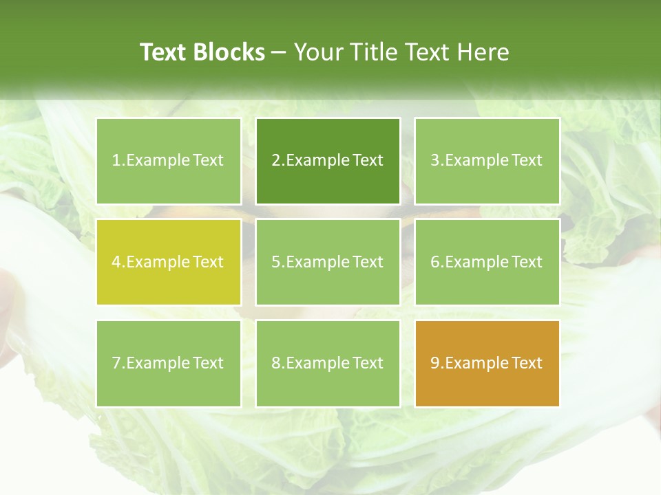 Female Lifestyle Diet PowerPoint Template