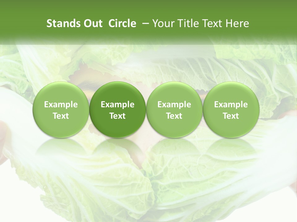 Female Lifestyle Diet PowerPoint Template