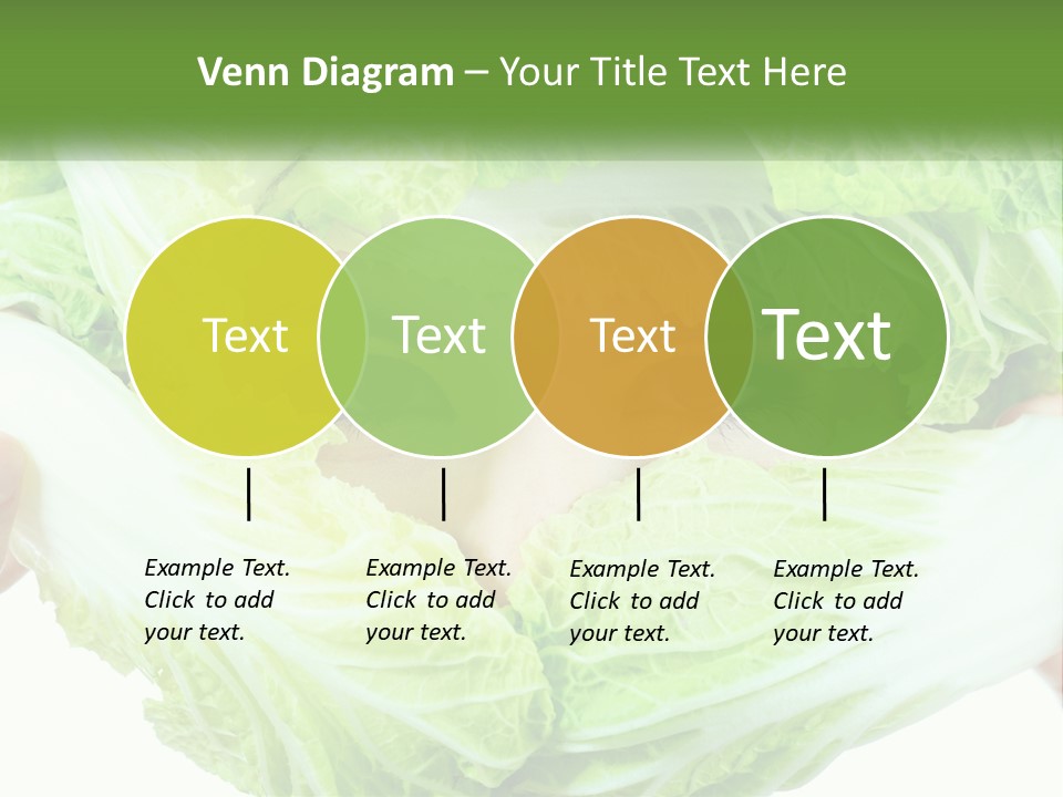 Female Lifestyle Diet PowerPoint Template