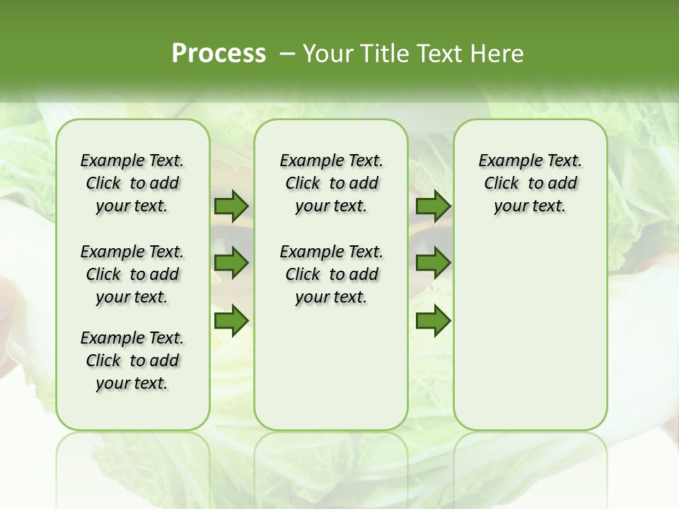 Female Lifestyle Diet PowerPoint Template