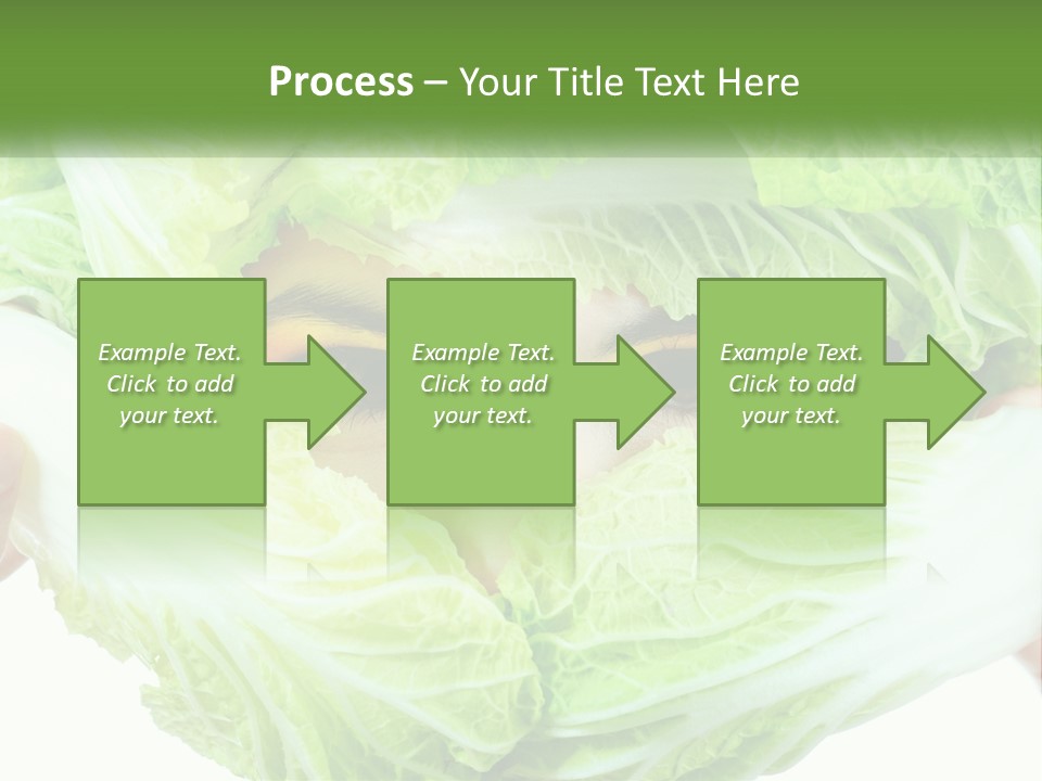 Female Lifestyle Diet PowerPoint Template