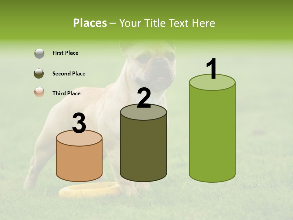 Employing Shows Small PowerPoint Template