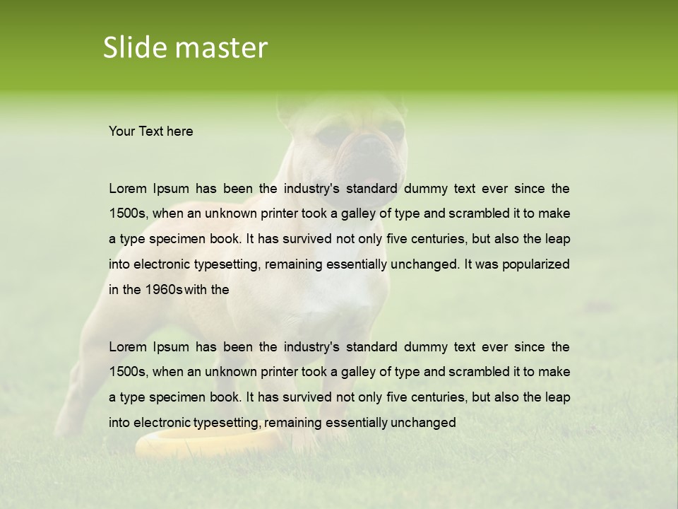 Employing Shows Small PowerPoint Template