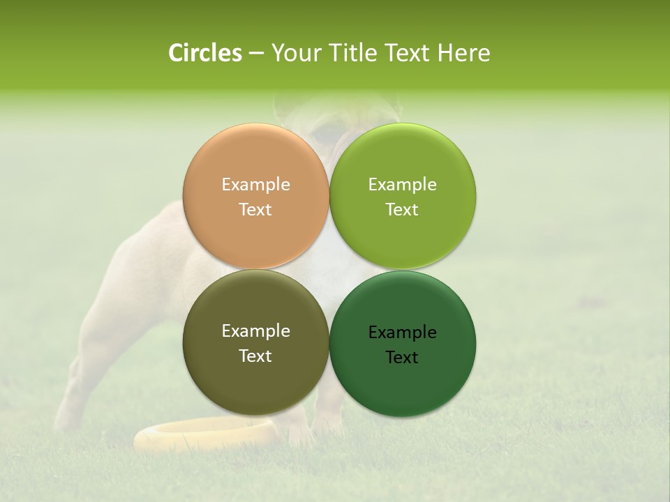Employing Shows Small PowerPoint Template