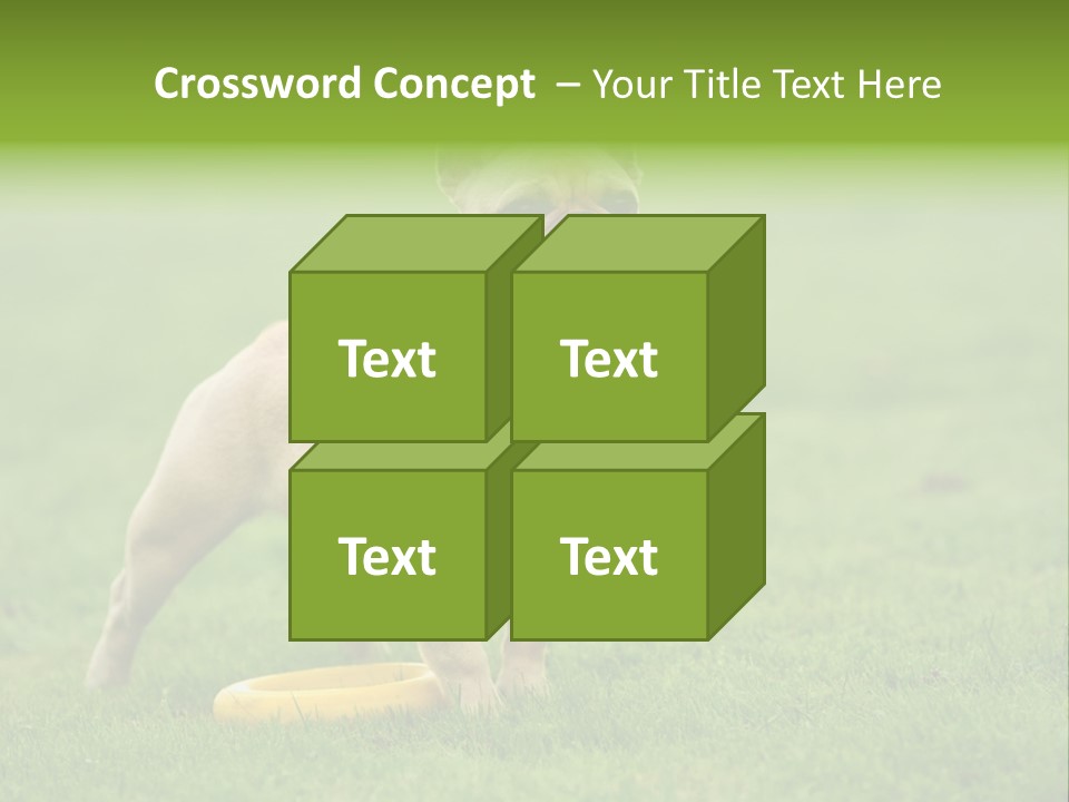 Employing Shows Small PowerPoint Template