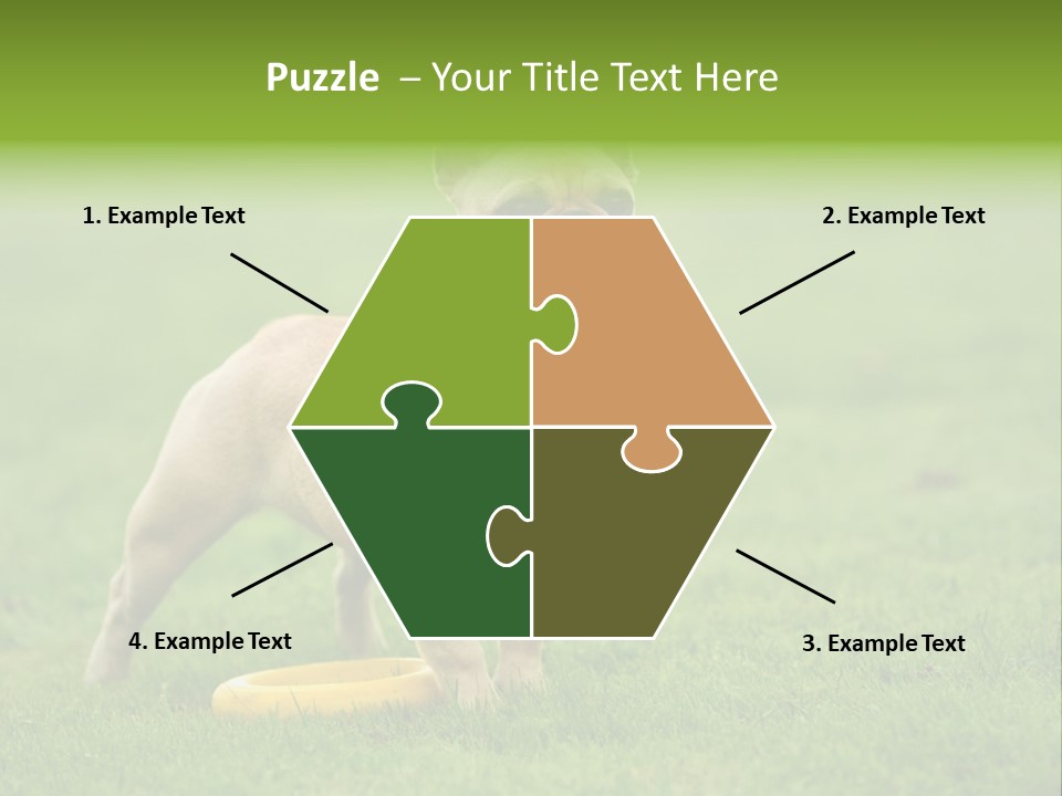 Employing Shows Small PowerPoint Template