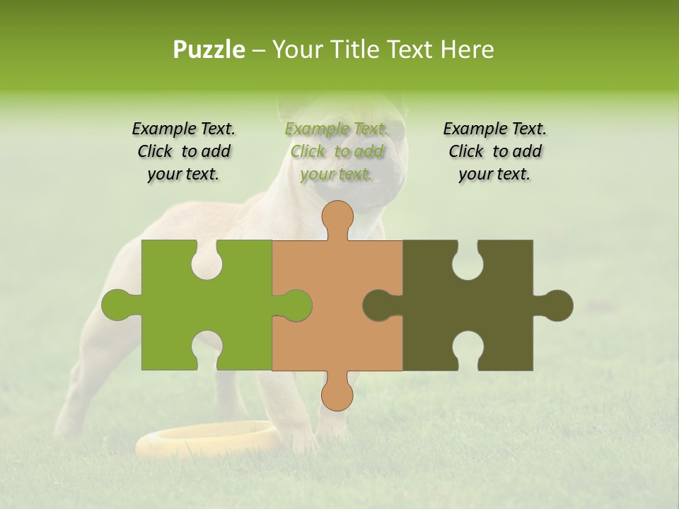 Employing Shows Small PowerPoint Template