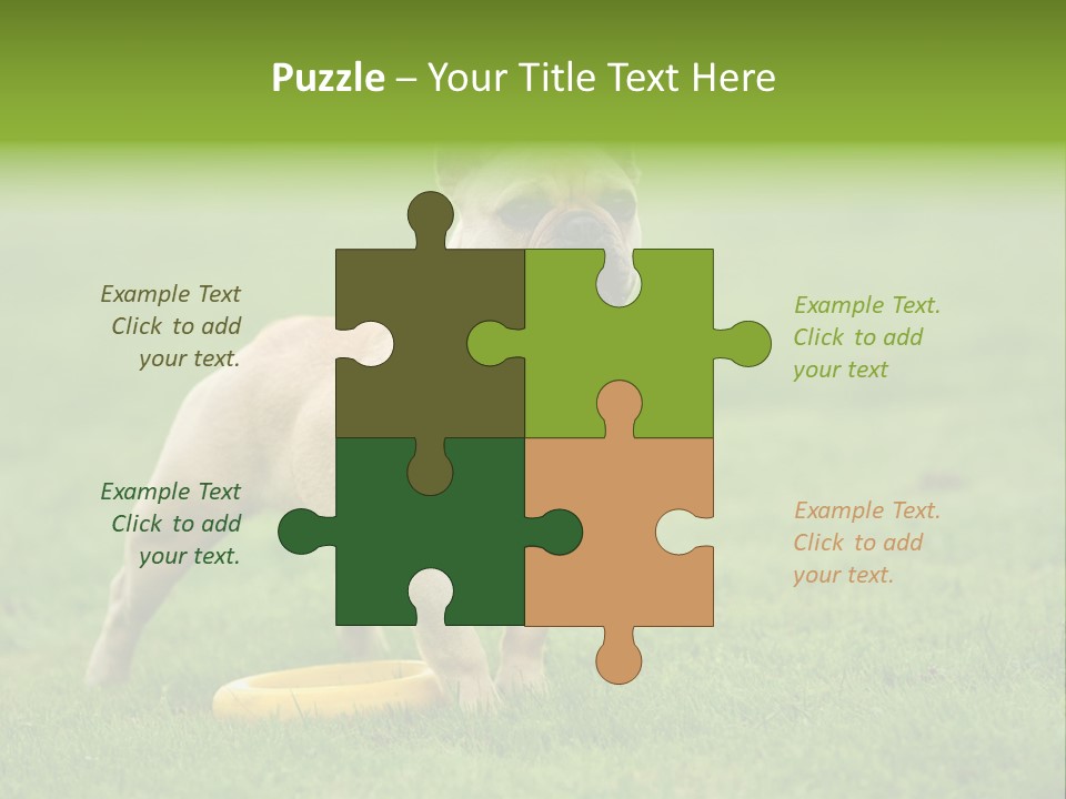 Employing Shows Small PowerPoint Template