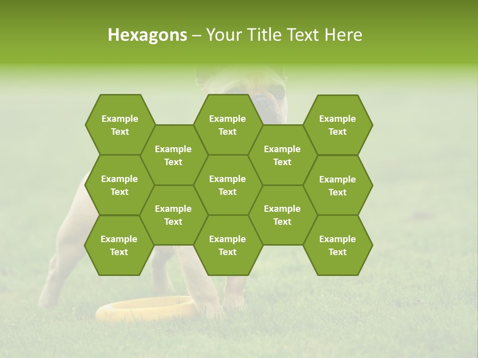 Employing Shows Small PowerPoint Template