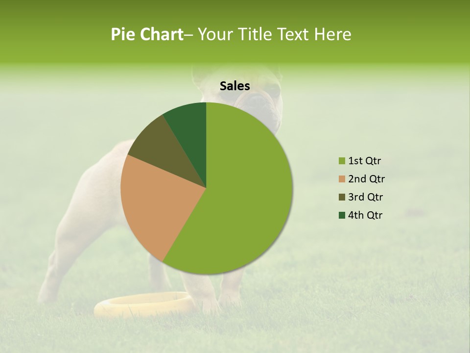 Employing Shows Small PowerPoint Template