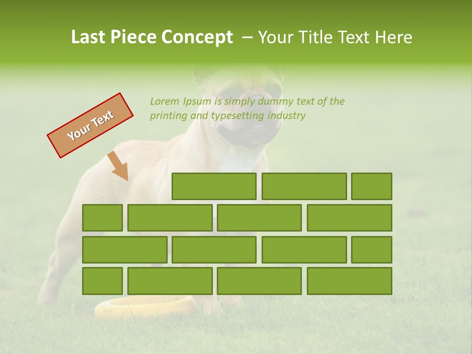 Employing Shows Small PowerPoint Template