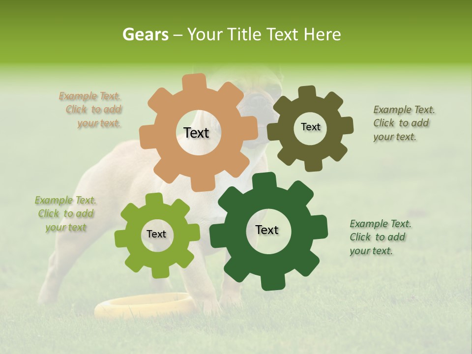 Employing Shows Small PowerPoint Template