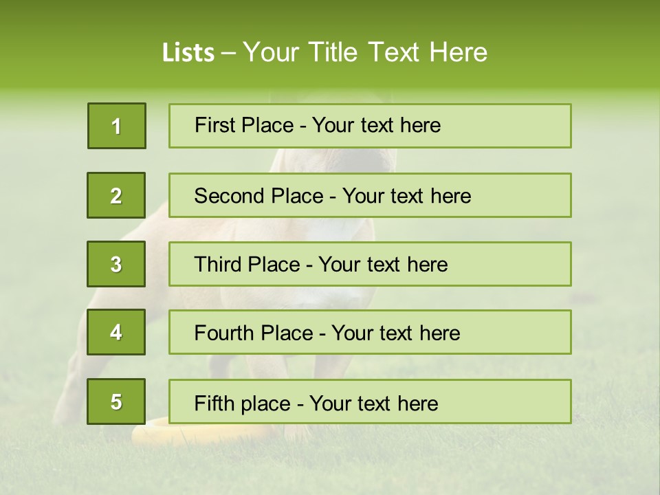Employing Shows Small PowerPoint Template