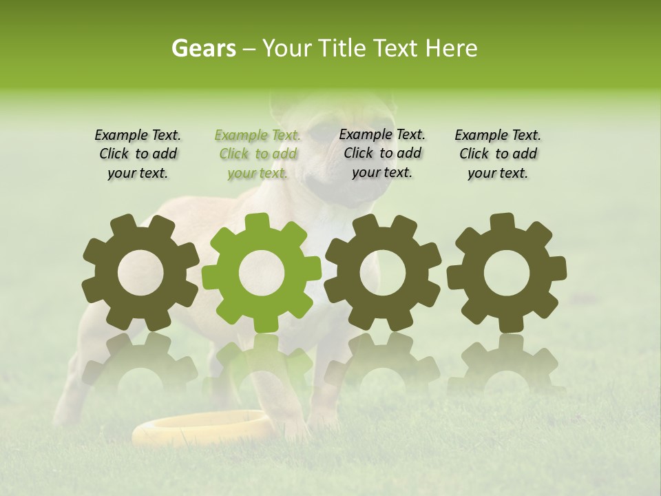 Employing Shows Small PowerPoint Template