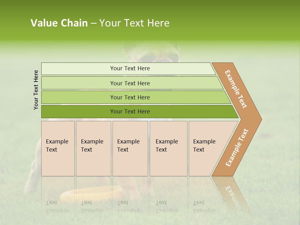 Employing Shows Small PowerPoint Template