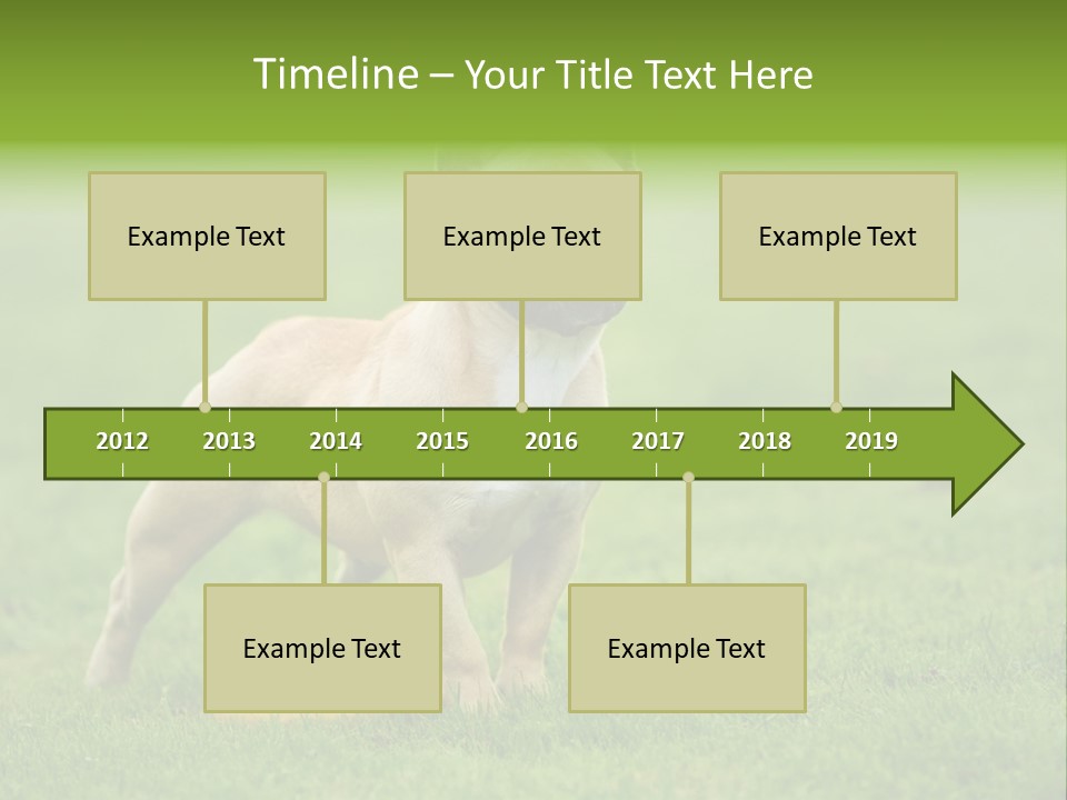 Employing Shows Small PowerPoint Template
