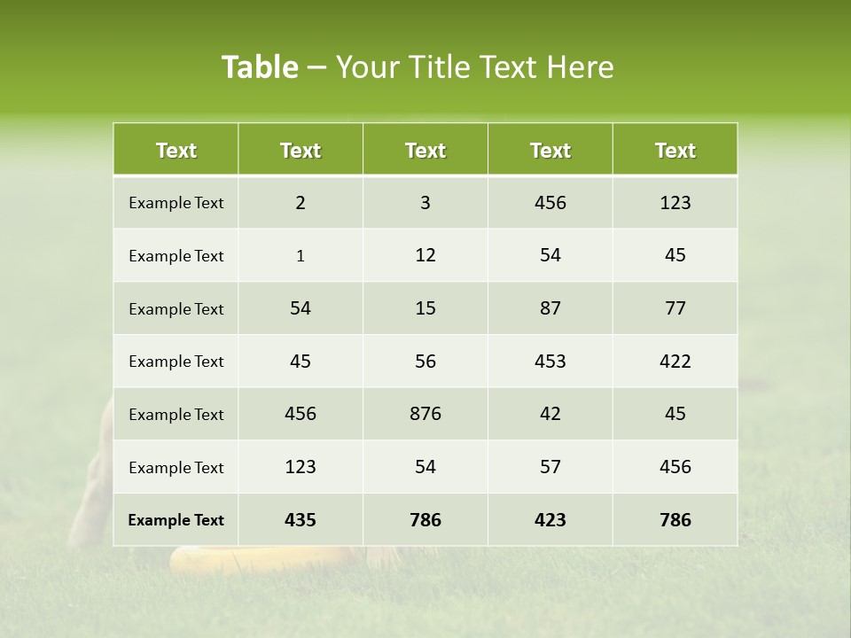 Employing Shows Small PowerPoint Template