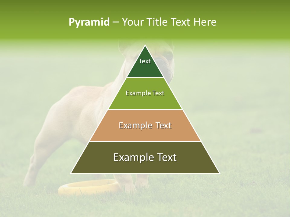 Employing Shows Small PowerPoint Template