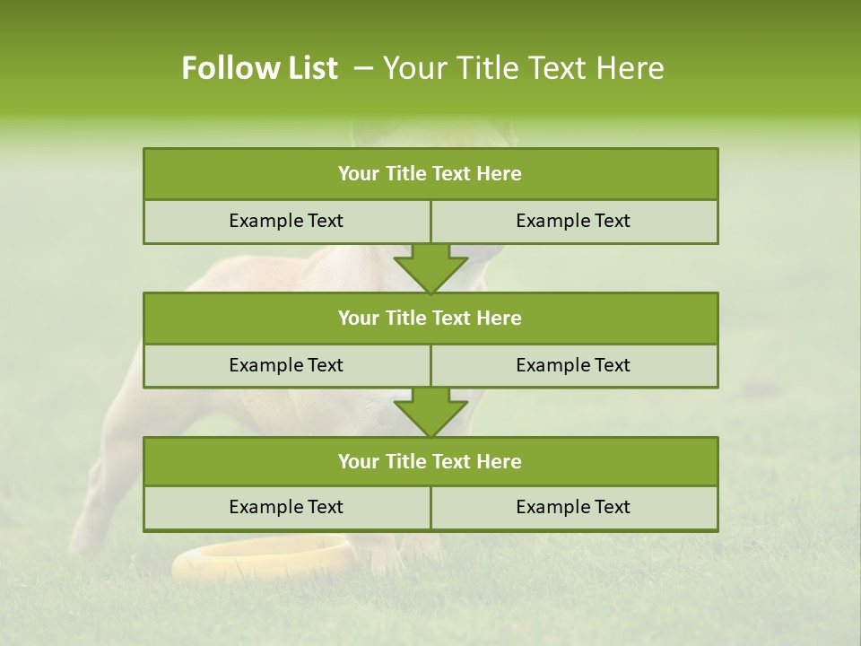 Employing Shows Small PowerPoint Template