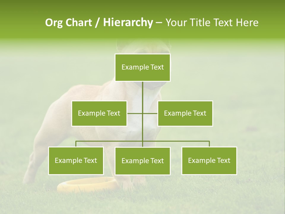Employing Shows Small PowerPoint Template