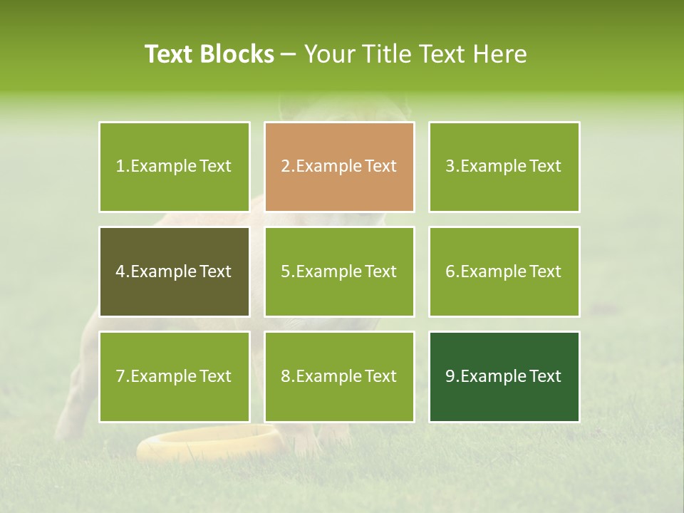 Employing Shows Small PowerPoint Template