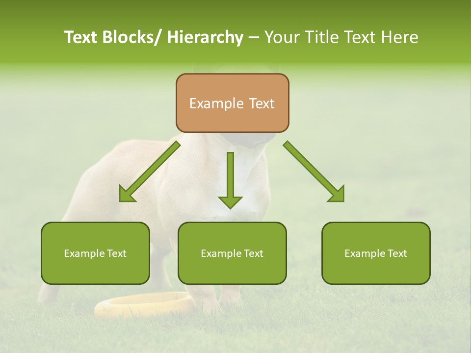 Employing Shows Small PowerPoint Template