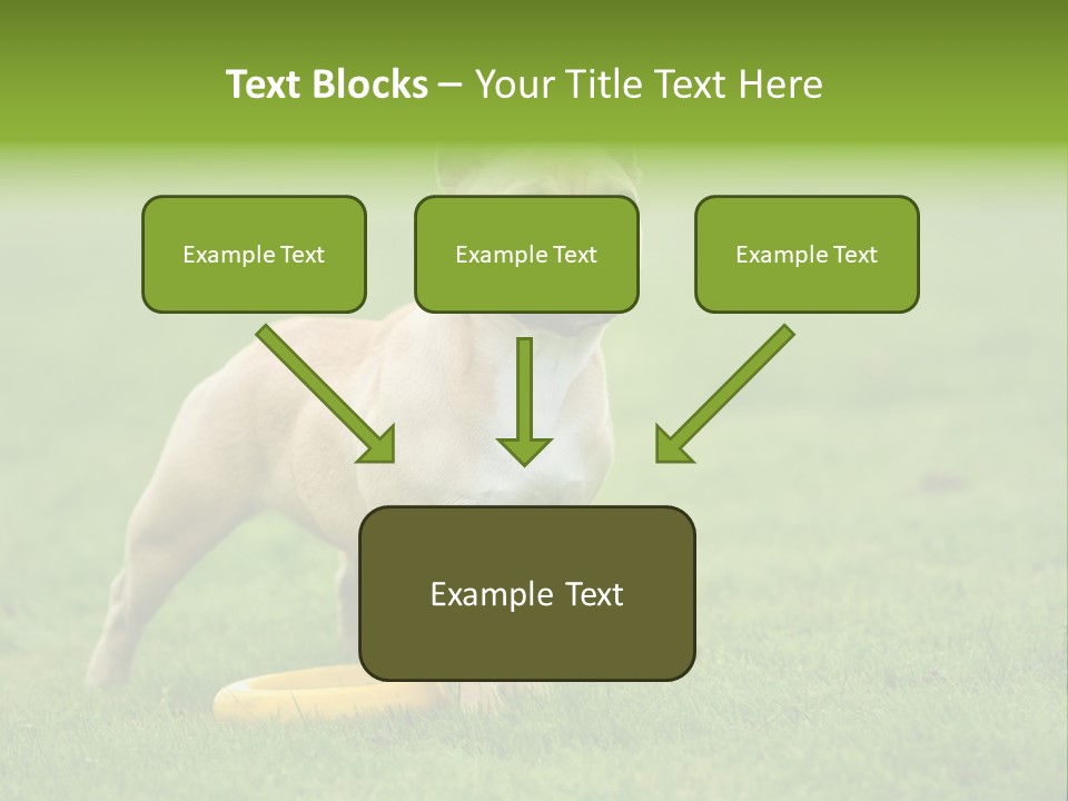 Employing Shows Small PowerPoint Template