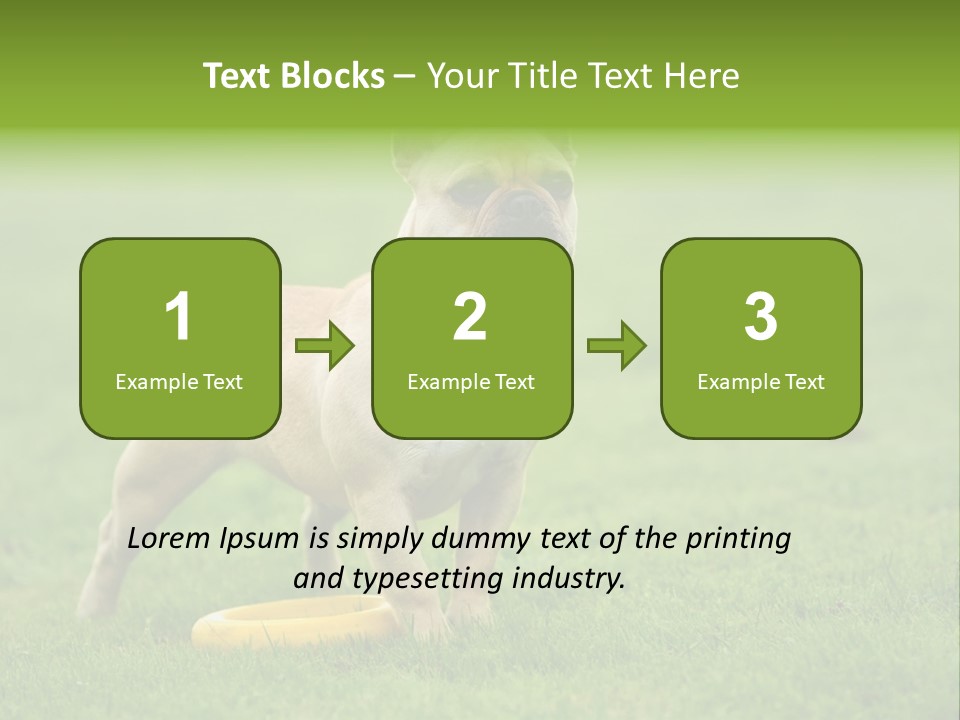 Employing Shows Small PowerPoint Template