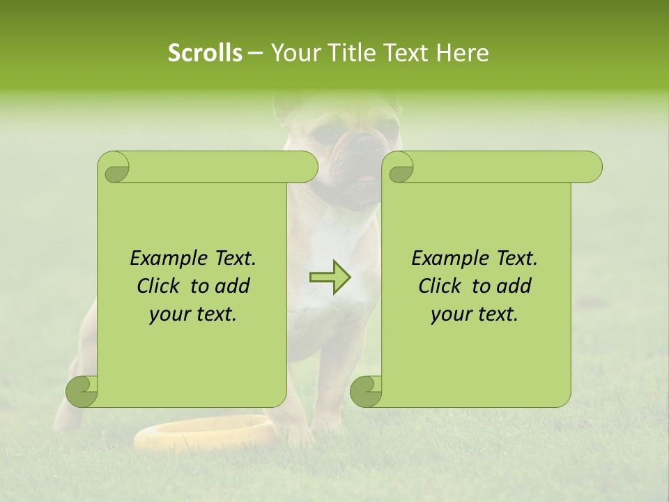 Employing Shows Small PowerPoint Template