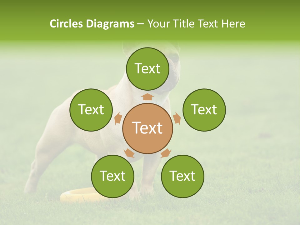 Employing Shows Small PowerPoint Template