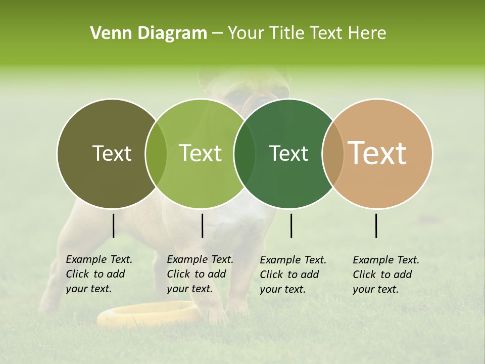 Employing Shows Small PowerPoint Template