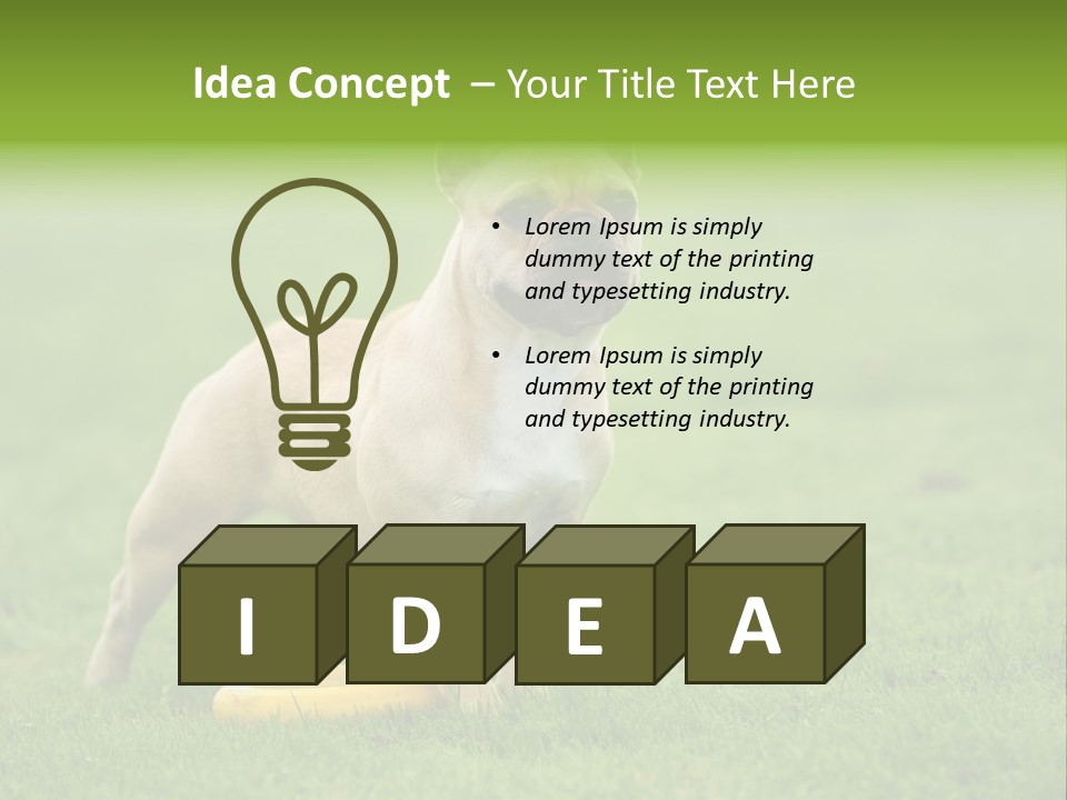 Employing Shows Small PowerPoint Template