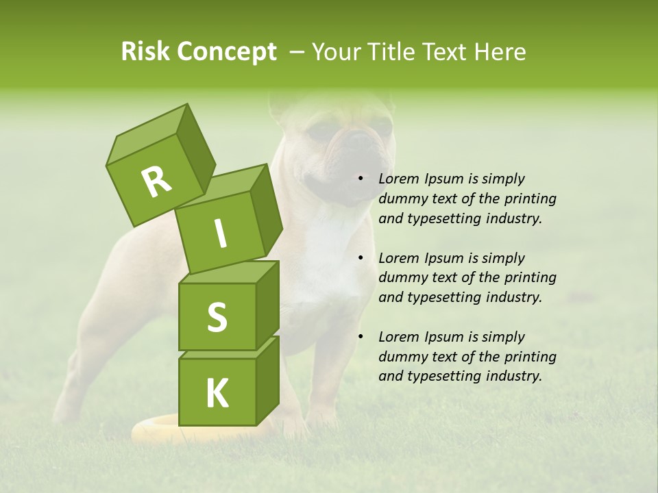 Employing Shows Small PowerPoint Template