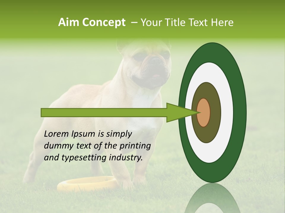 Employing Shows Small PowerPoint Template