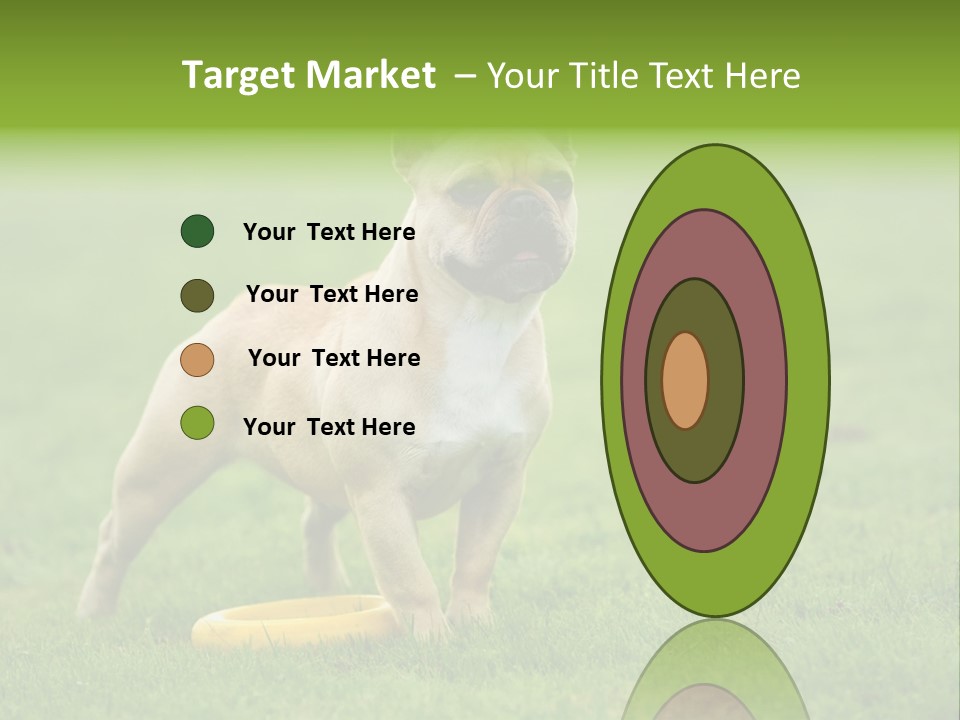 Employing Shows Small PowerPoint Template