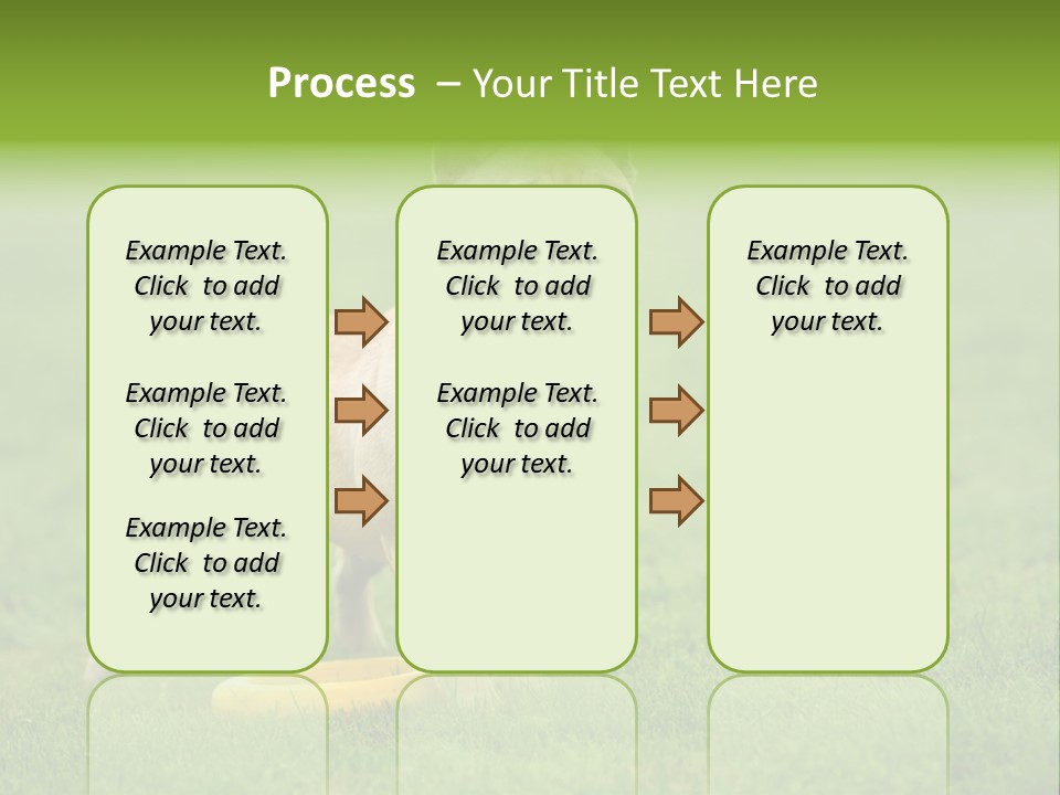 Employing Shows Small PowerPoint Template